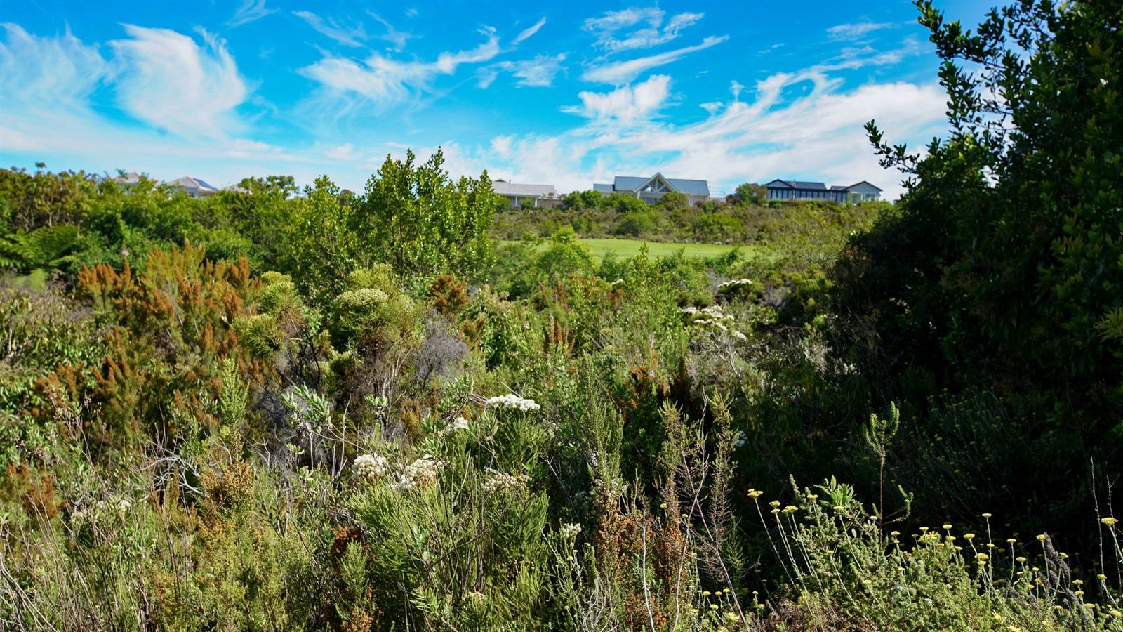 959 m² Land available in Pezula Golf Estate photo number 8