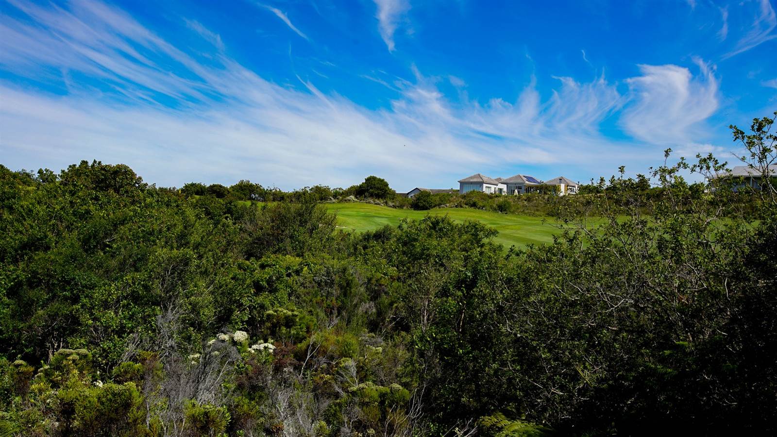959 m² Land available in Pezula Golf Estate photo number 2
