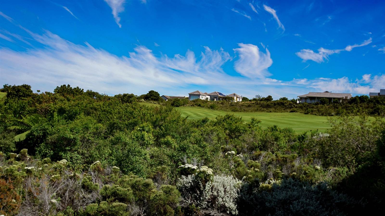 959 m² Land available in Pezula Golf Estate photo number 6