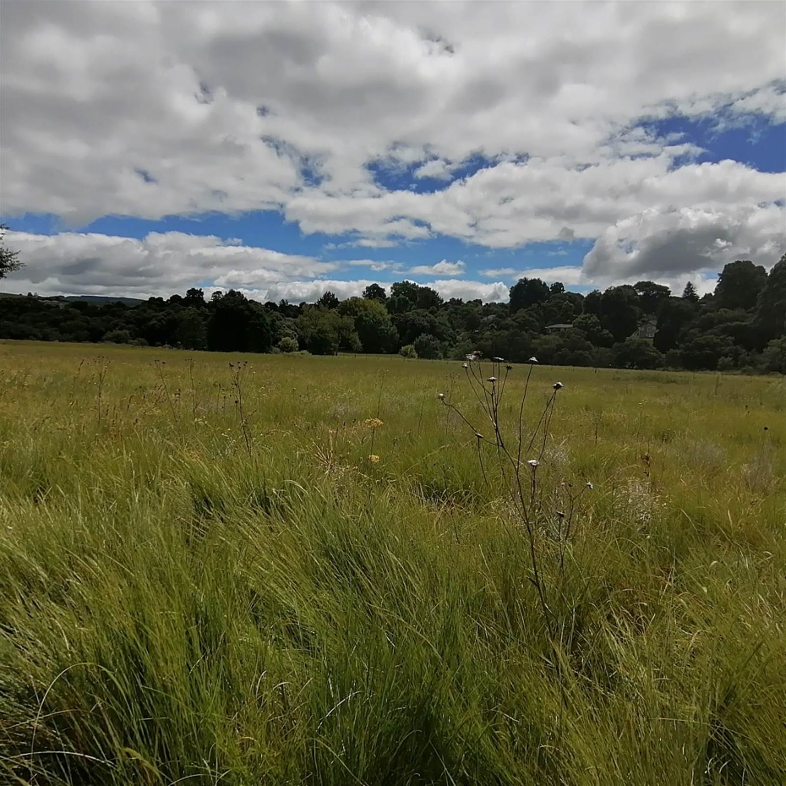4279 m² Land available in Howick photo number 7