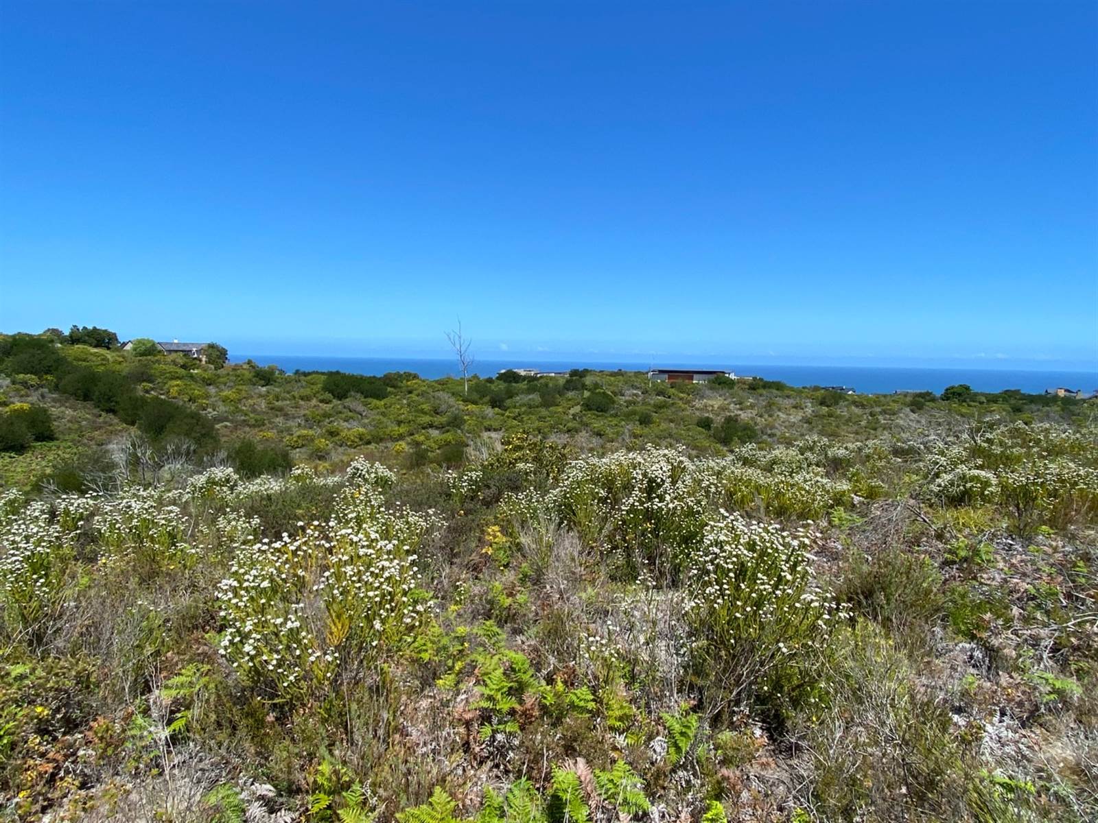 8837 m² Land available in Pezula Private Estate photo number 7