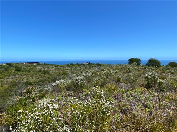 8837 m² Land available in Pezula Private Estate