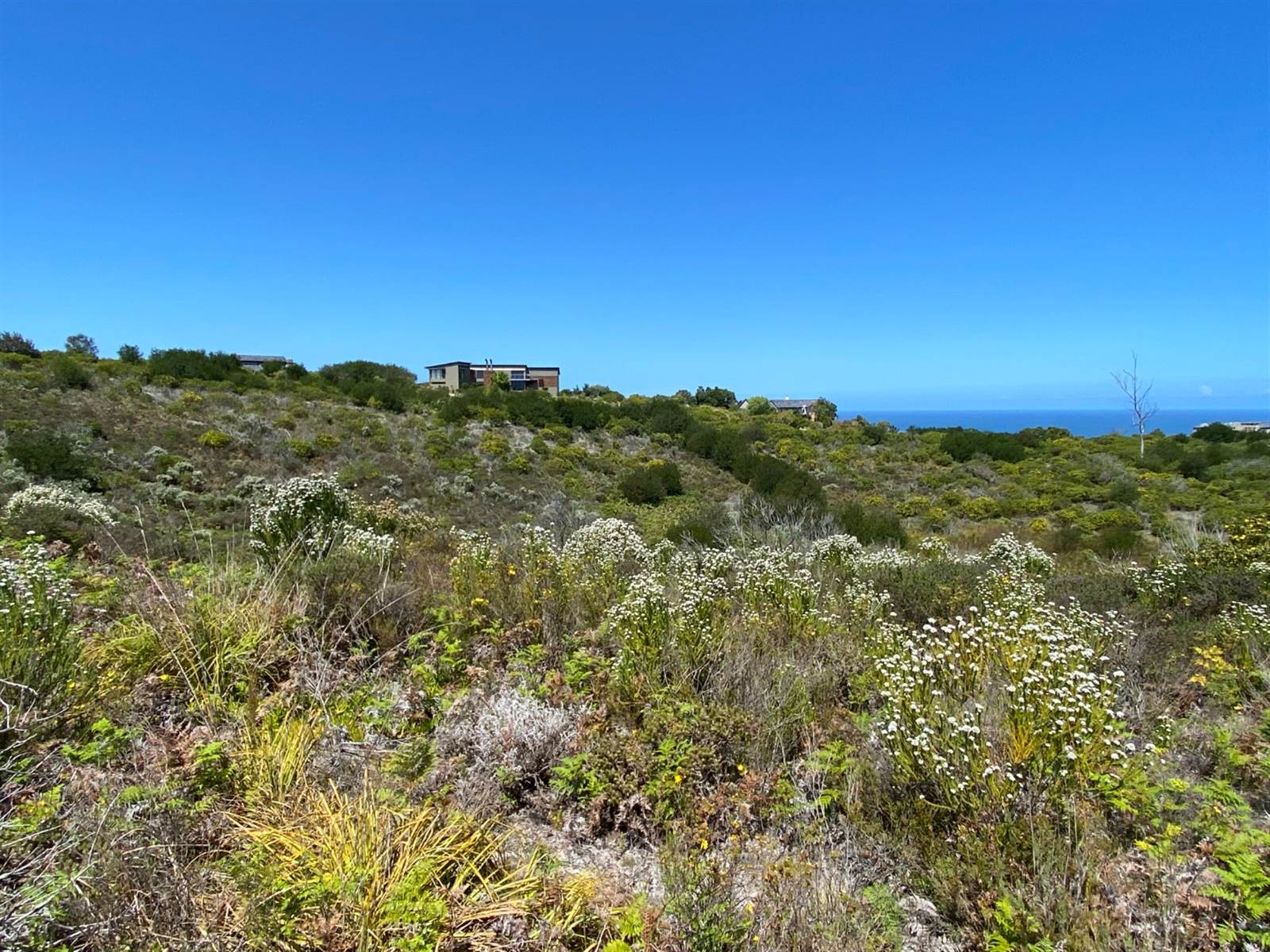 8837 m² Land available in Pezula Private Estate photo number 5