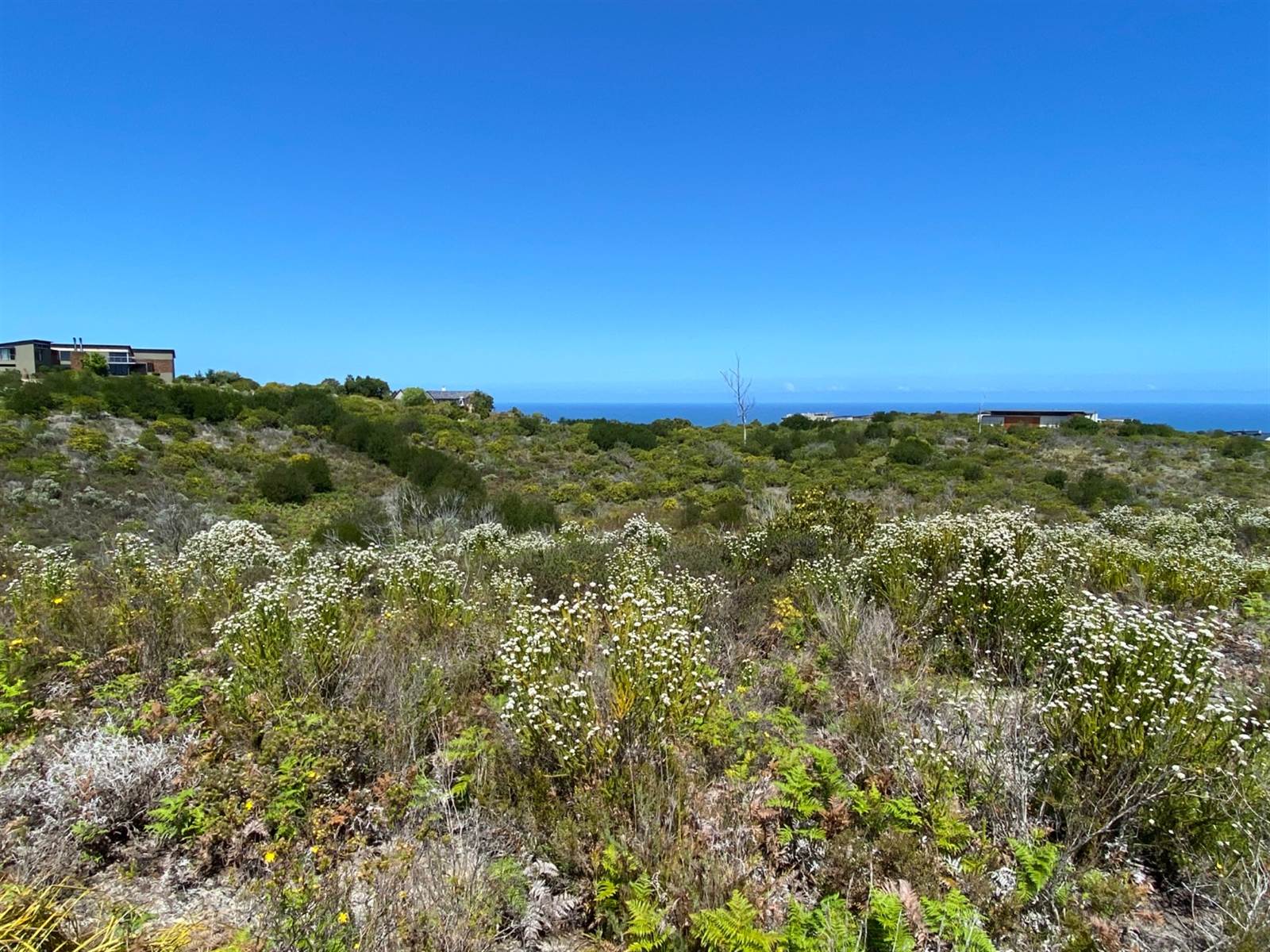 8837 m² Land available in Pezula Private Estate photo number 6