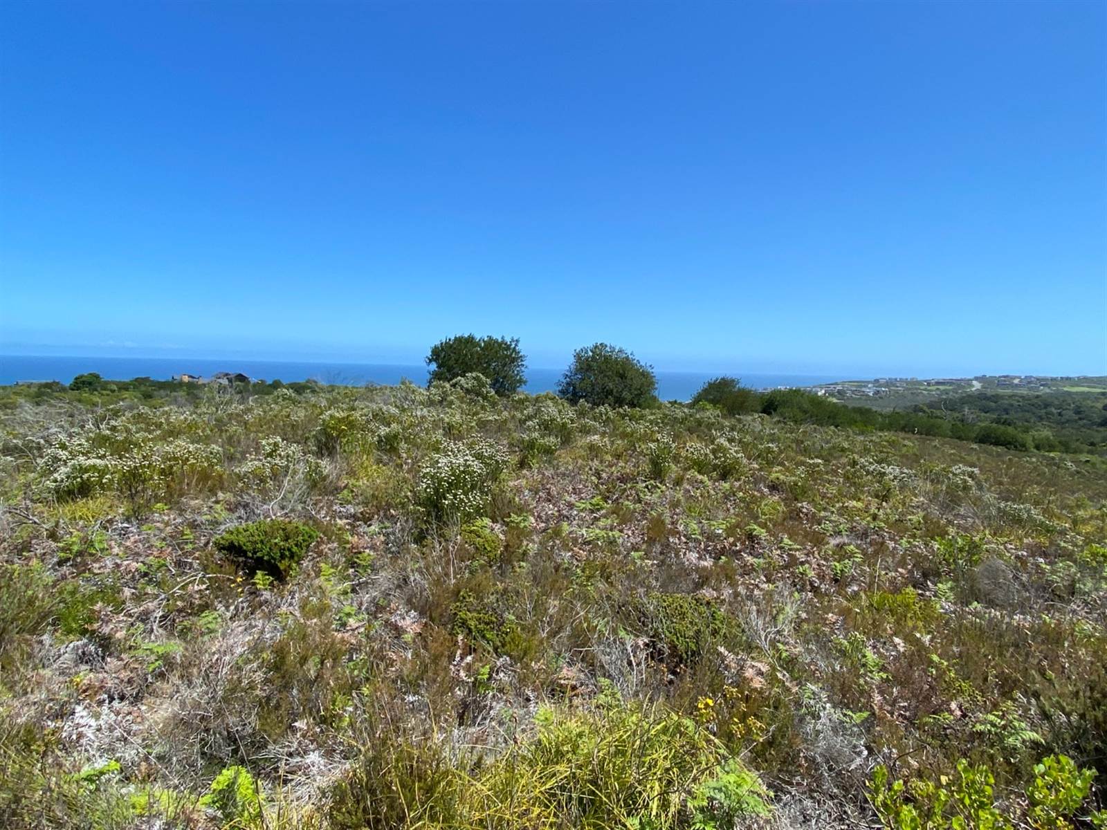 8837 m² Land available in Pezula Private Estate photo number 11