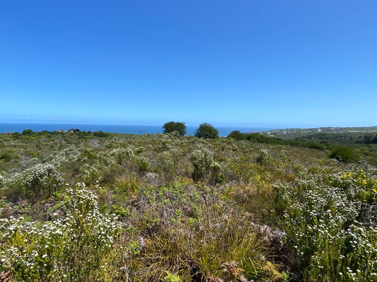 8837 m² Land available in Pezula Private Estate photo number 12