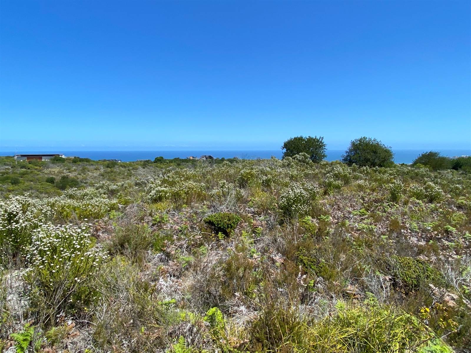 8837 m² Land available in Pezula Private Estate photo number 10