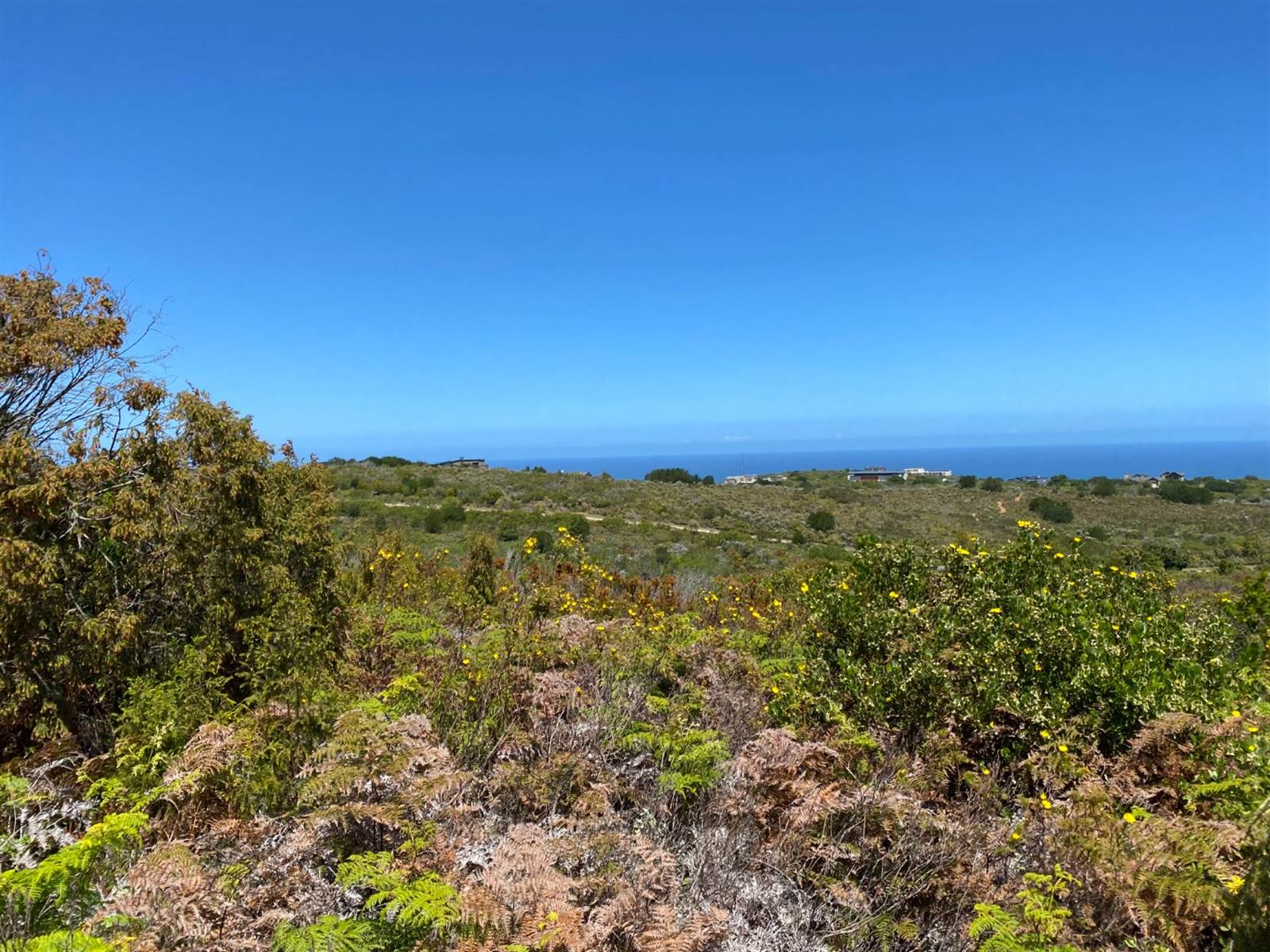 8837 m² Land available in Pezula Private Estate photo number 2