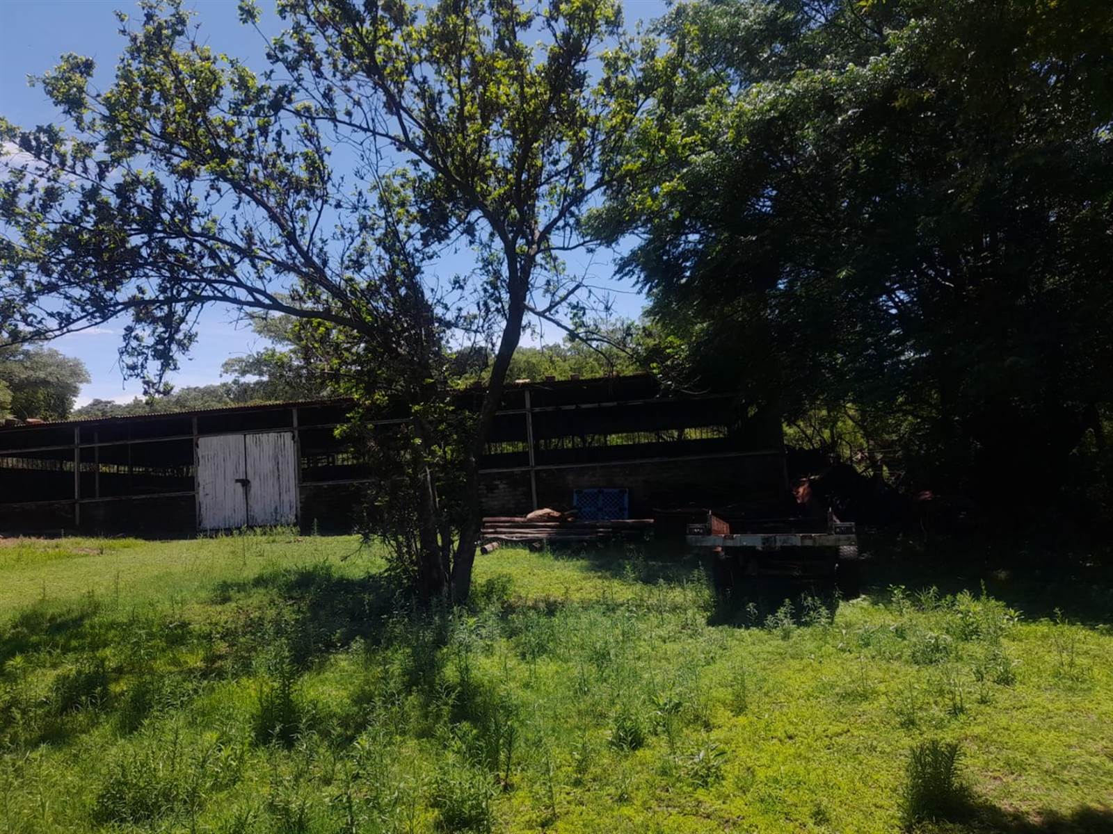 62.2 ha Farm in Cullinan photo number 23