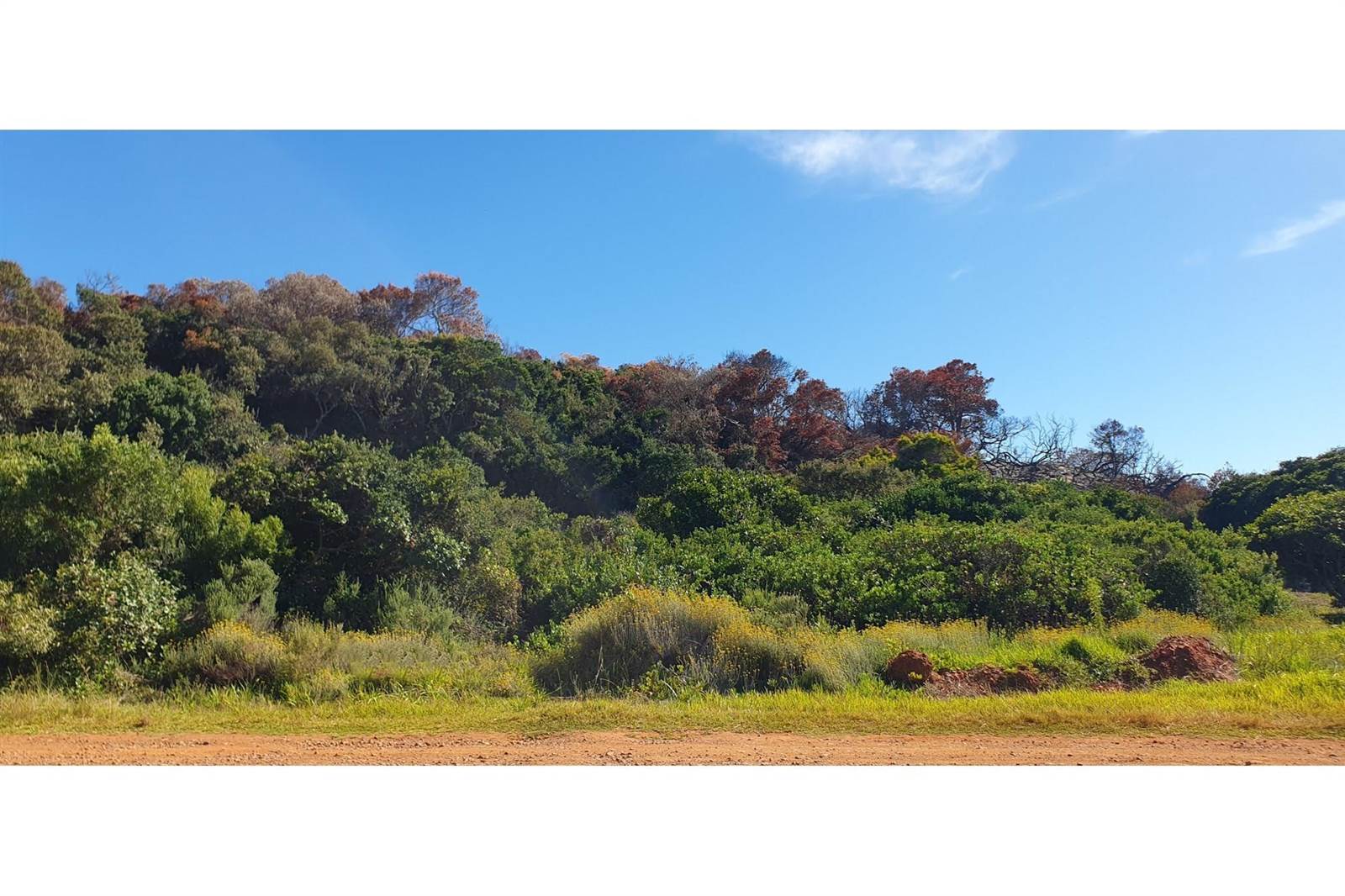 693 m² Land available in Oyster Bay photo number 8