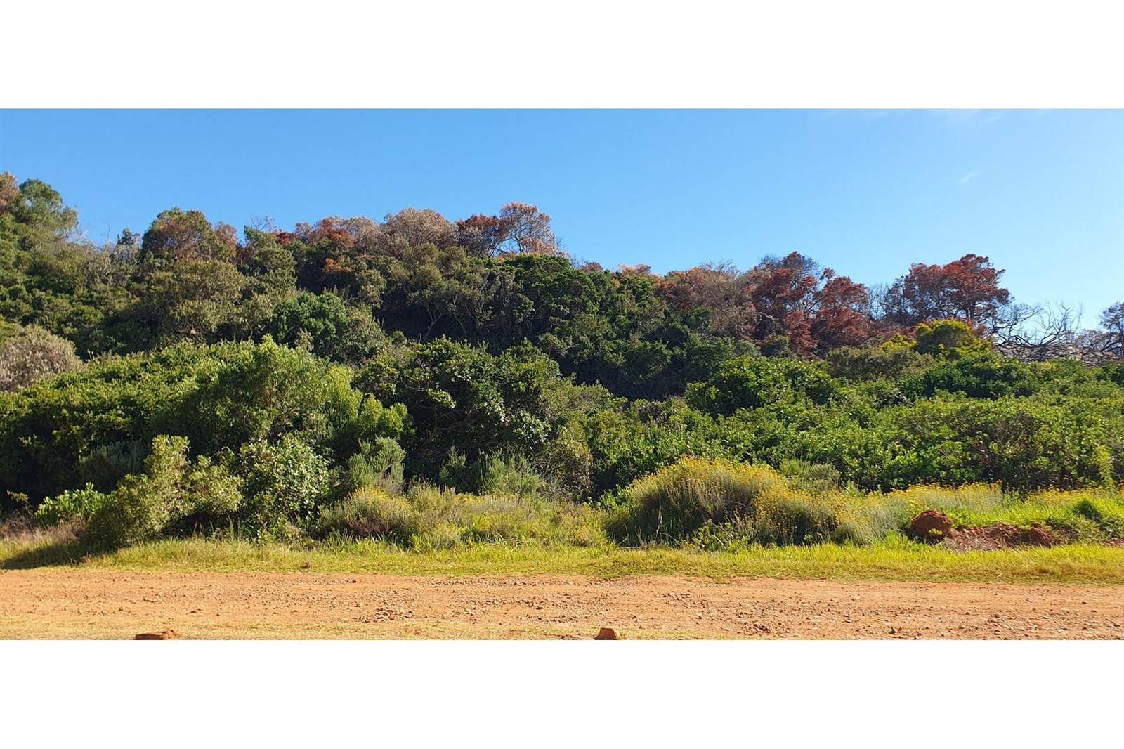 693 m² Land available in Oyster Bay photo number 2