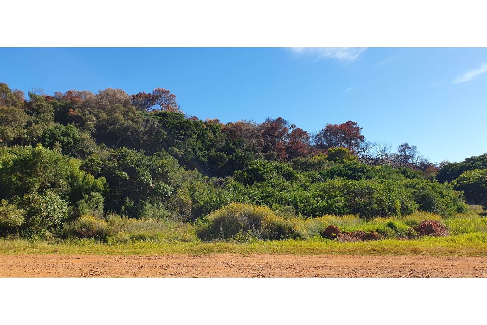 693 m² Land available in Oyster Bay photo number 5