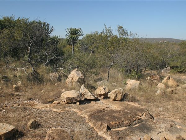 7 000 m² Land