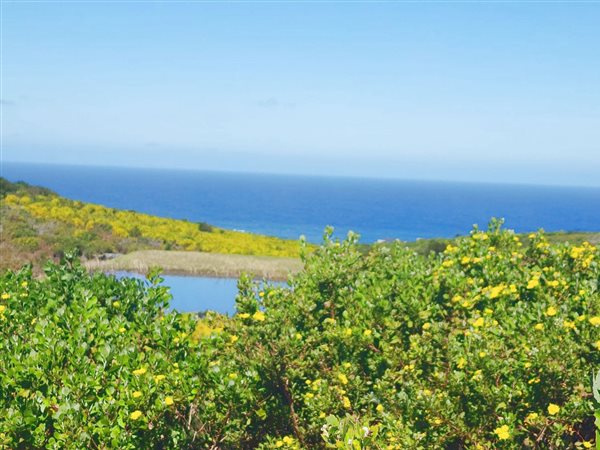 1.1 ha Land available in Pezula Private Estate