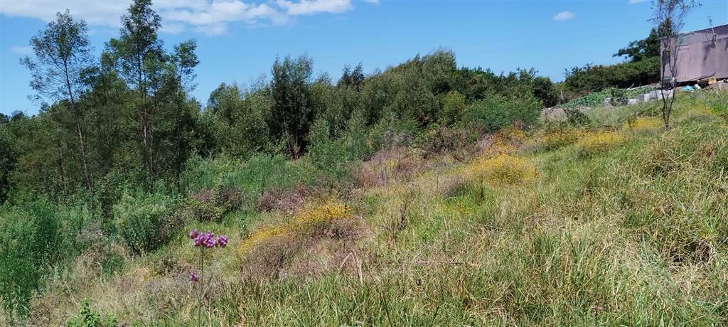 662 m² Land available in Great Brak River photo number 5