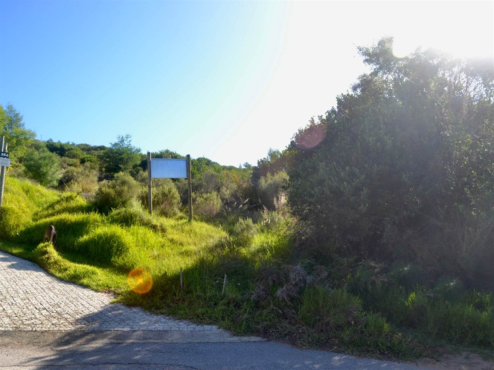 1079 m² Land available in Brenton on Sea photo number 6