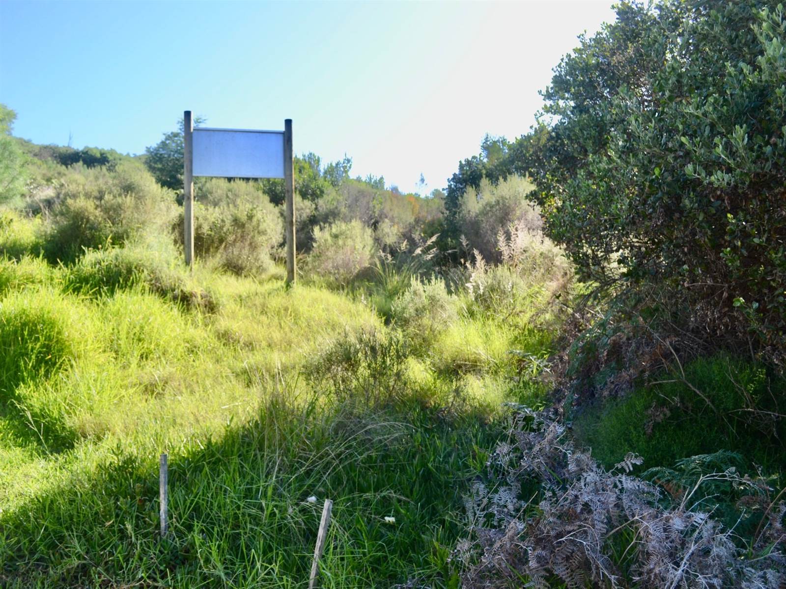 1079 m² Land available in Brenton on Sea photo number 5