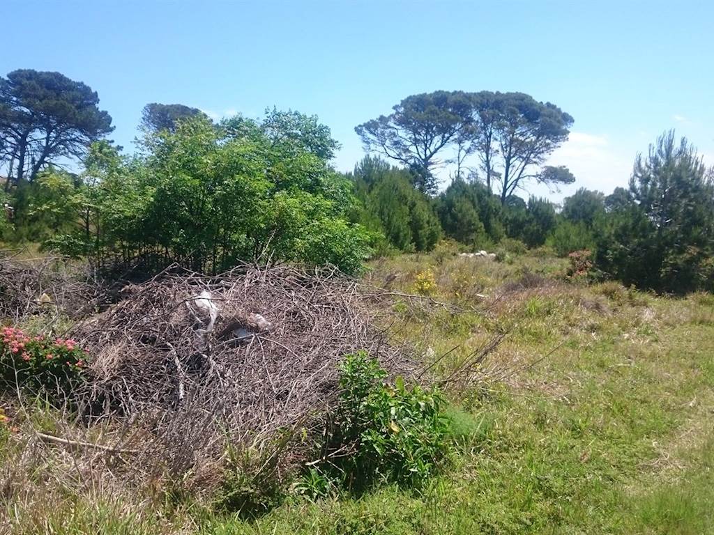 1800 m² Land available in Port Alfred photo number 5