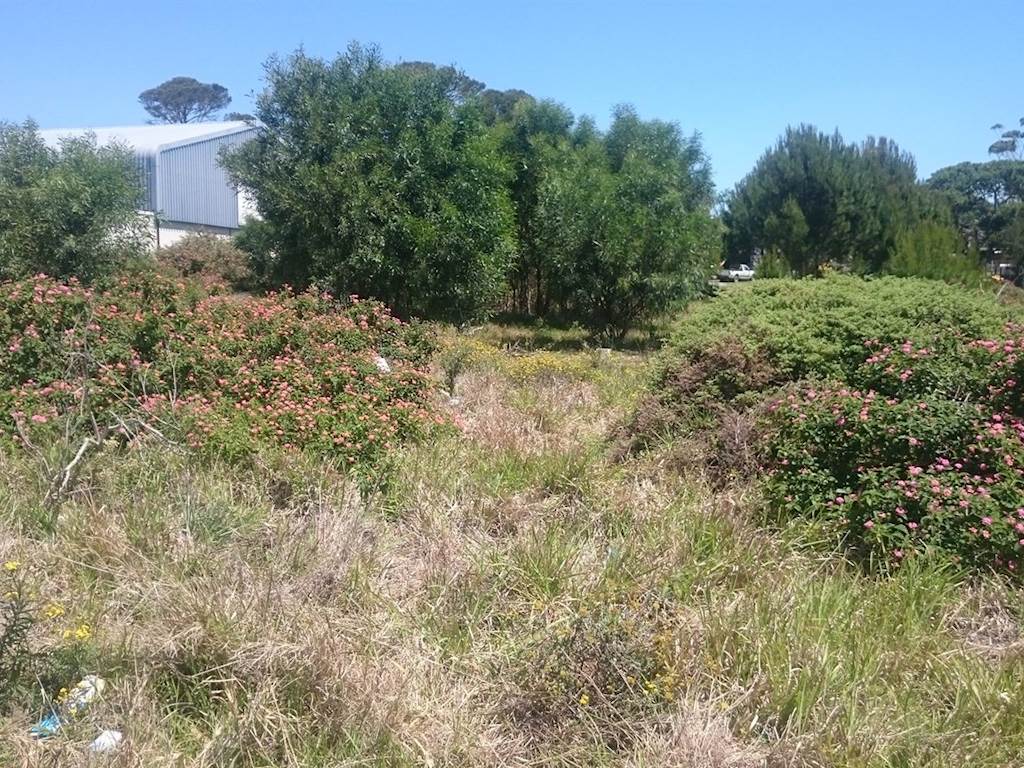 1800 m² Land available in Port Alfred photo number 6