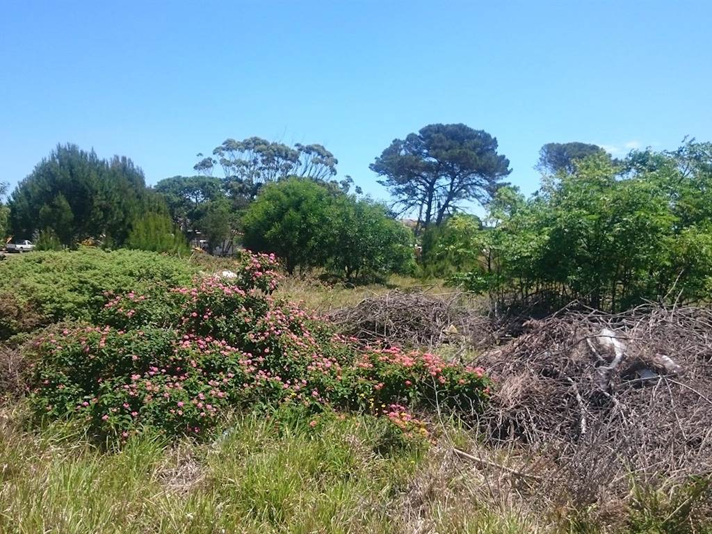 1800 m² Land available in Port Alfred photo number 4