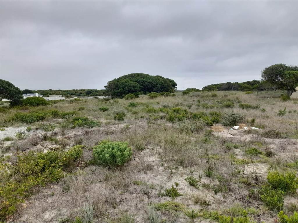 768 m² Land available in Kleinbaai photo number 4