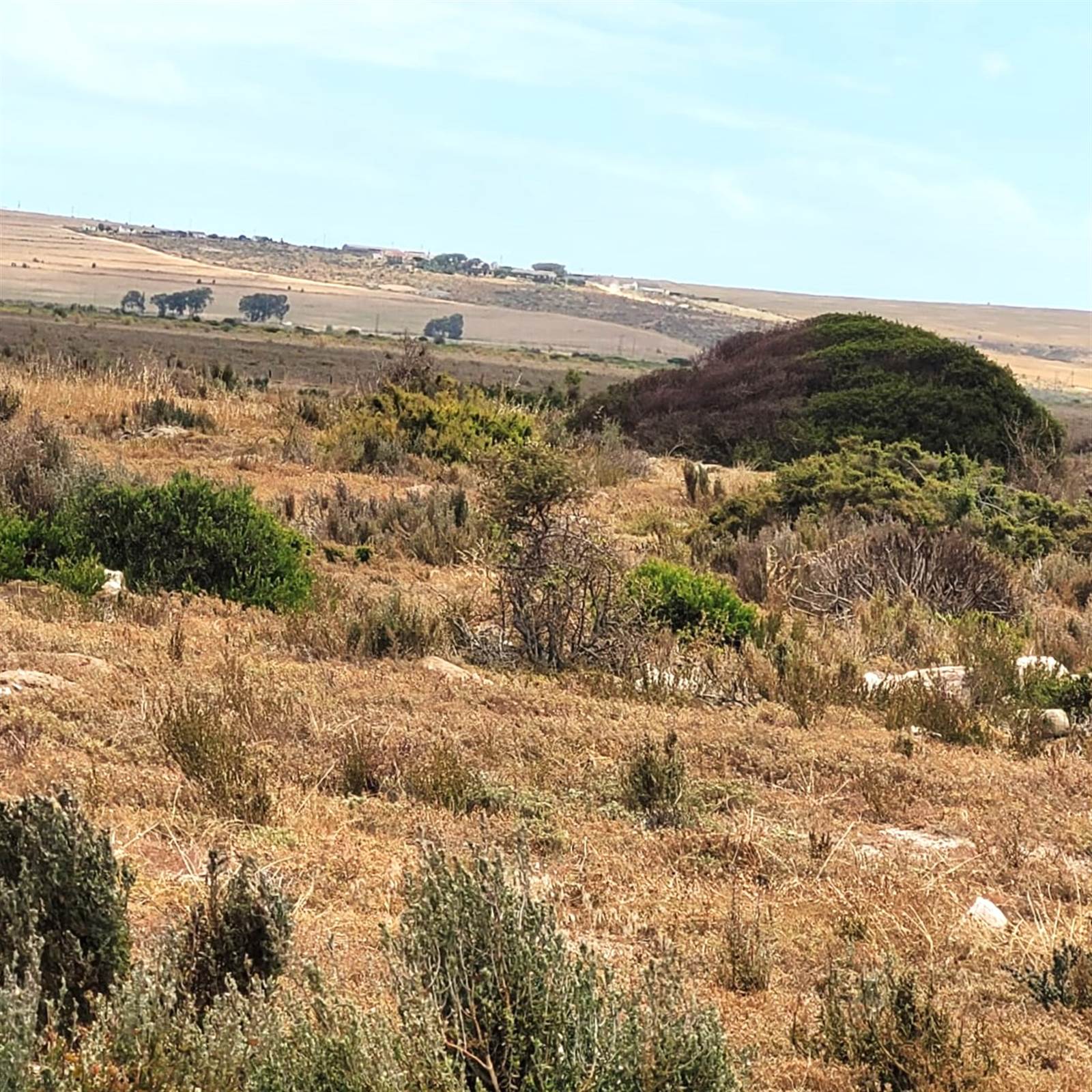 7994 m² Land available in Saldanha photo number 4