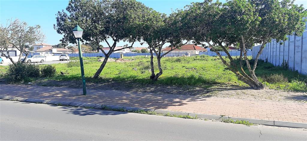 813 m² Land available in Port Owen photo number 7