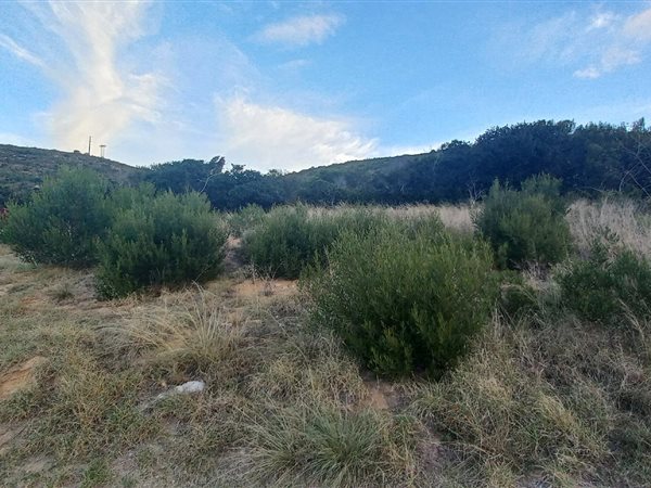 224 m² Land available in Island View