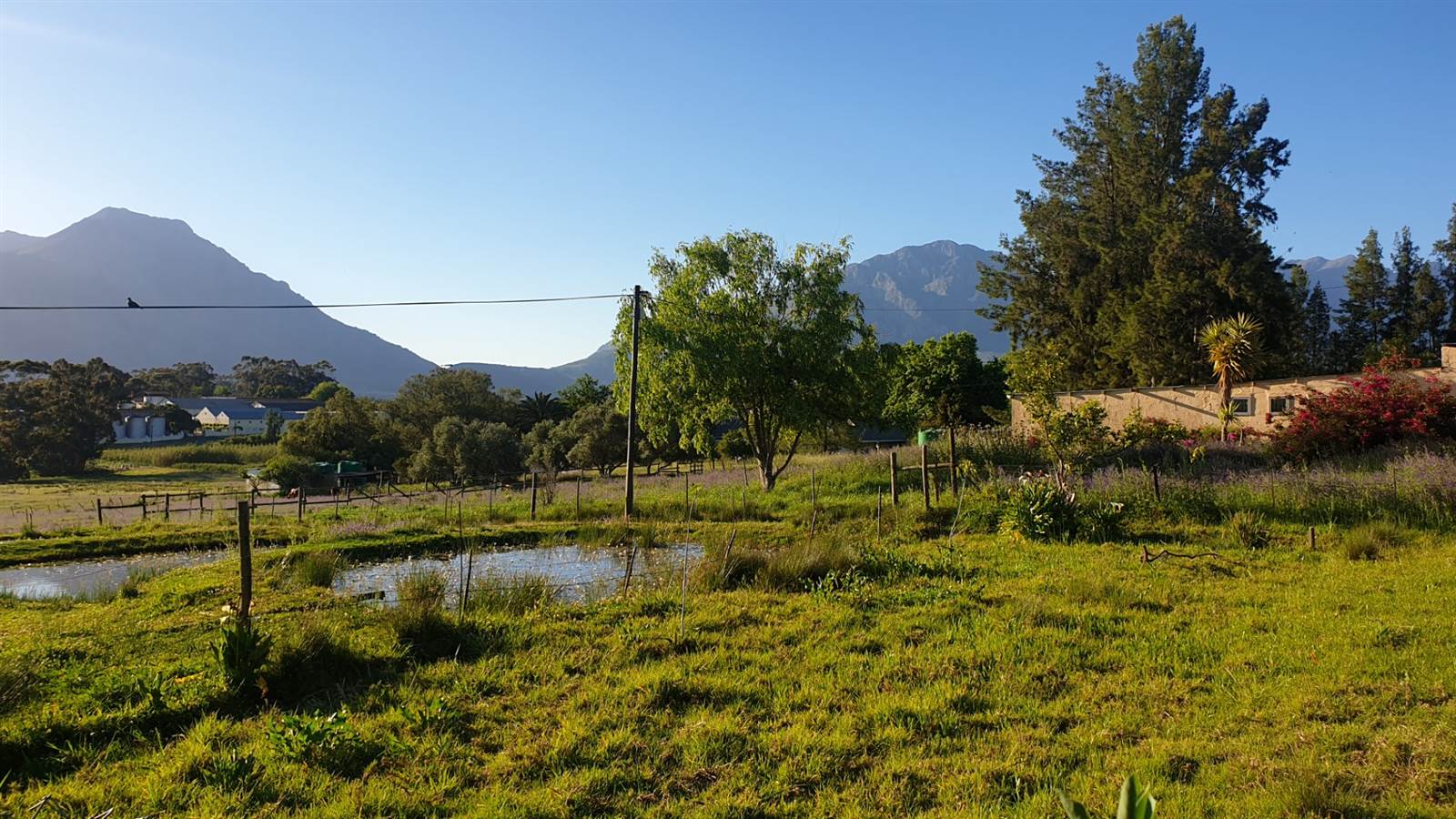 1 ha Farm in Tulbagh photo number 4