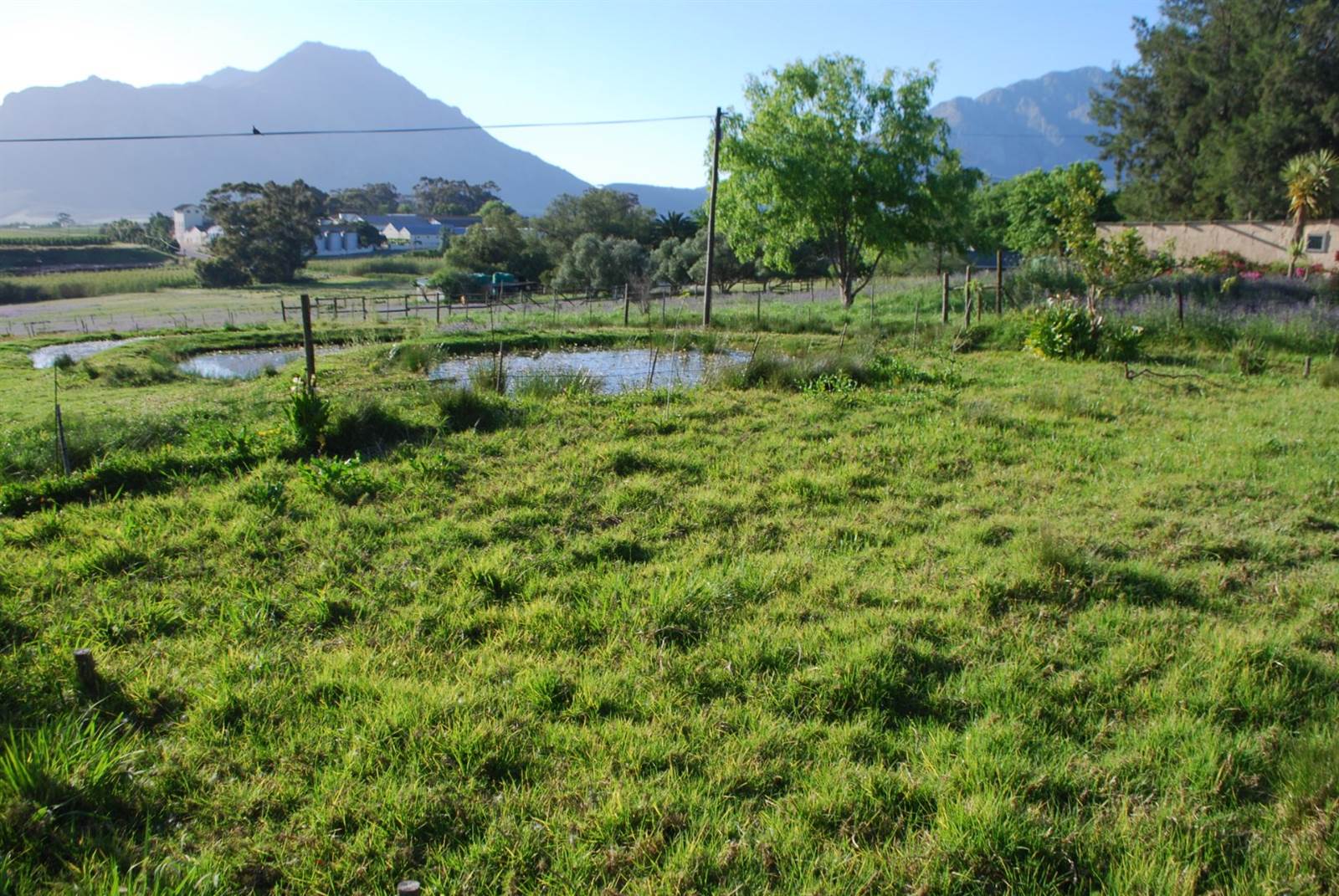 1 ha Farm in Tulbagh photo number 27