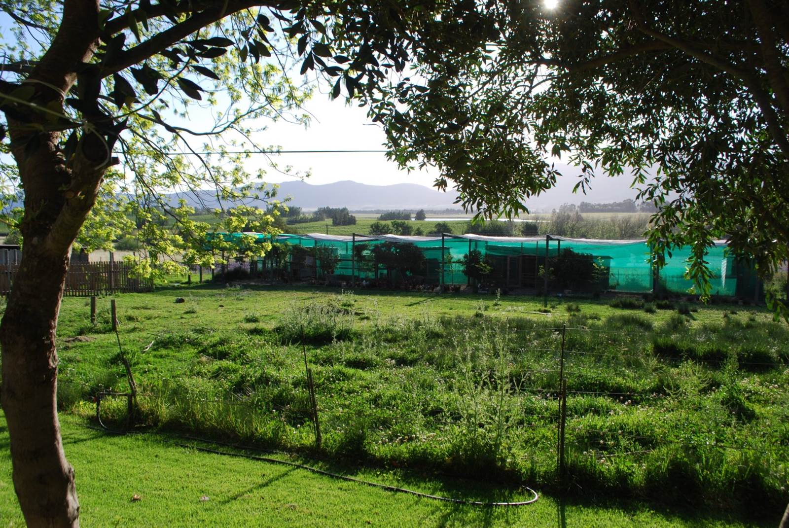 1 ha Farm in Tulbagh photo number 30