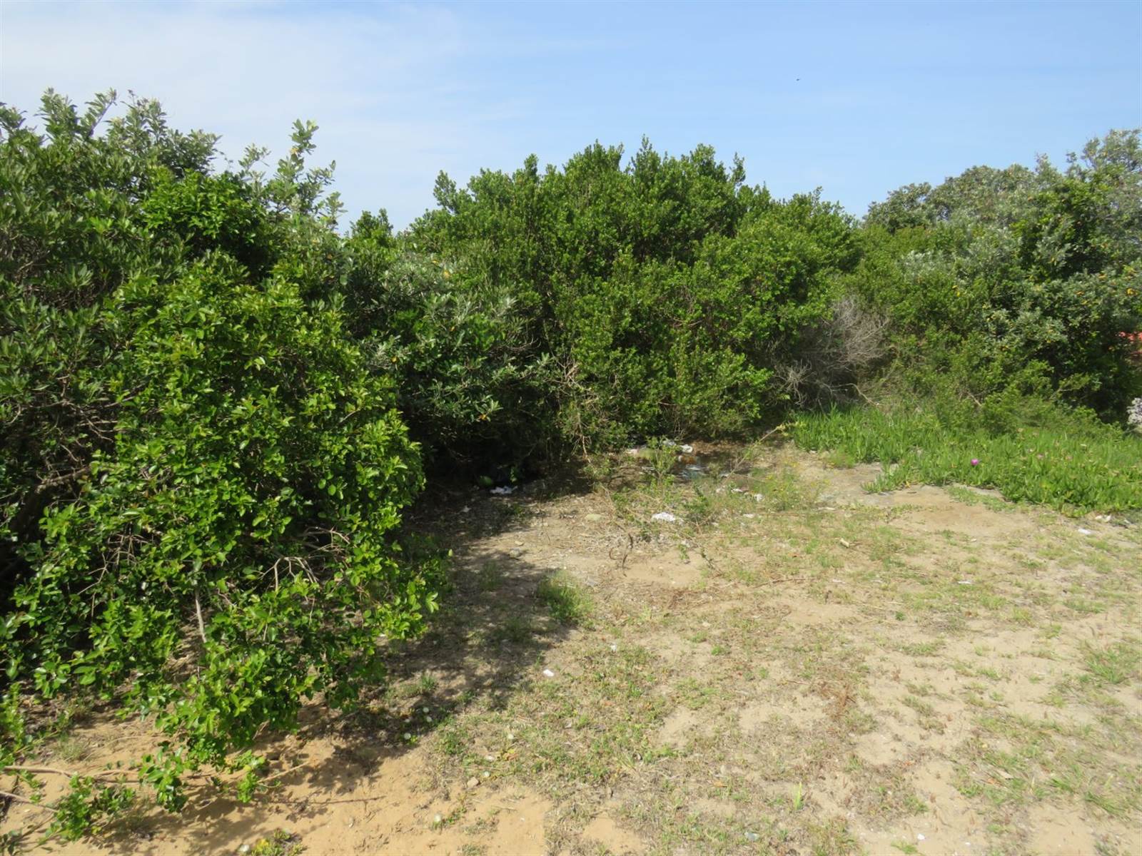 594 m² Land available in Kleinemonde photo number 6