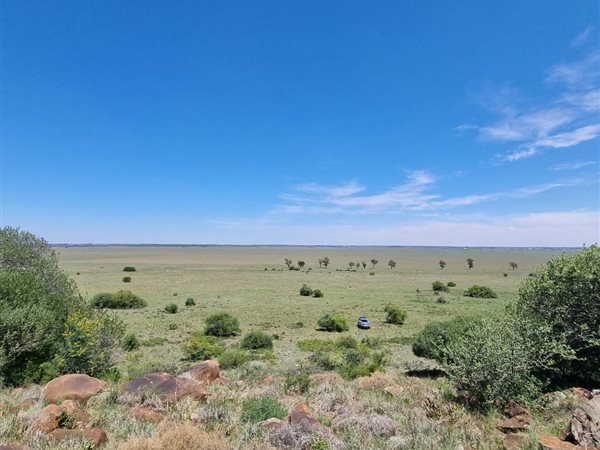 376.4 ha Farm in Bultfontein