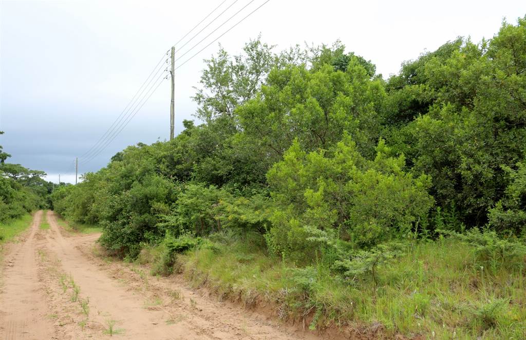 7047 m² Land available in Bathurst and Surrounds photo number 3