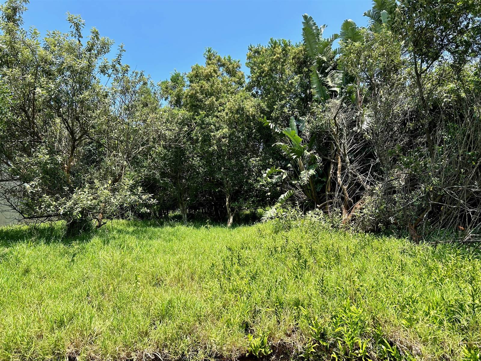 802 m² Land available in Princes Grant Golf Estate photo number 2