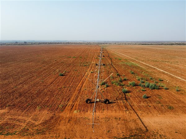 635 ha Farm