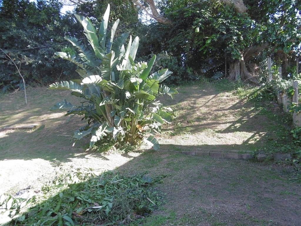 4.9 ha Land available in Winklespruit photo number 2