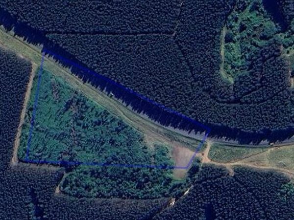 4.5 ha Land 4.5 ha Land