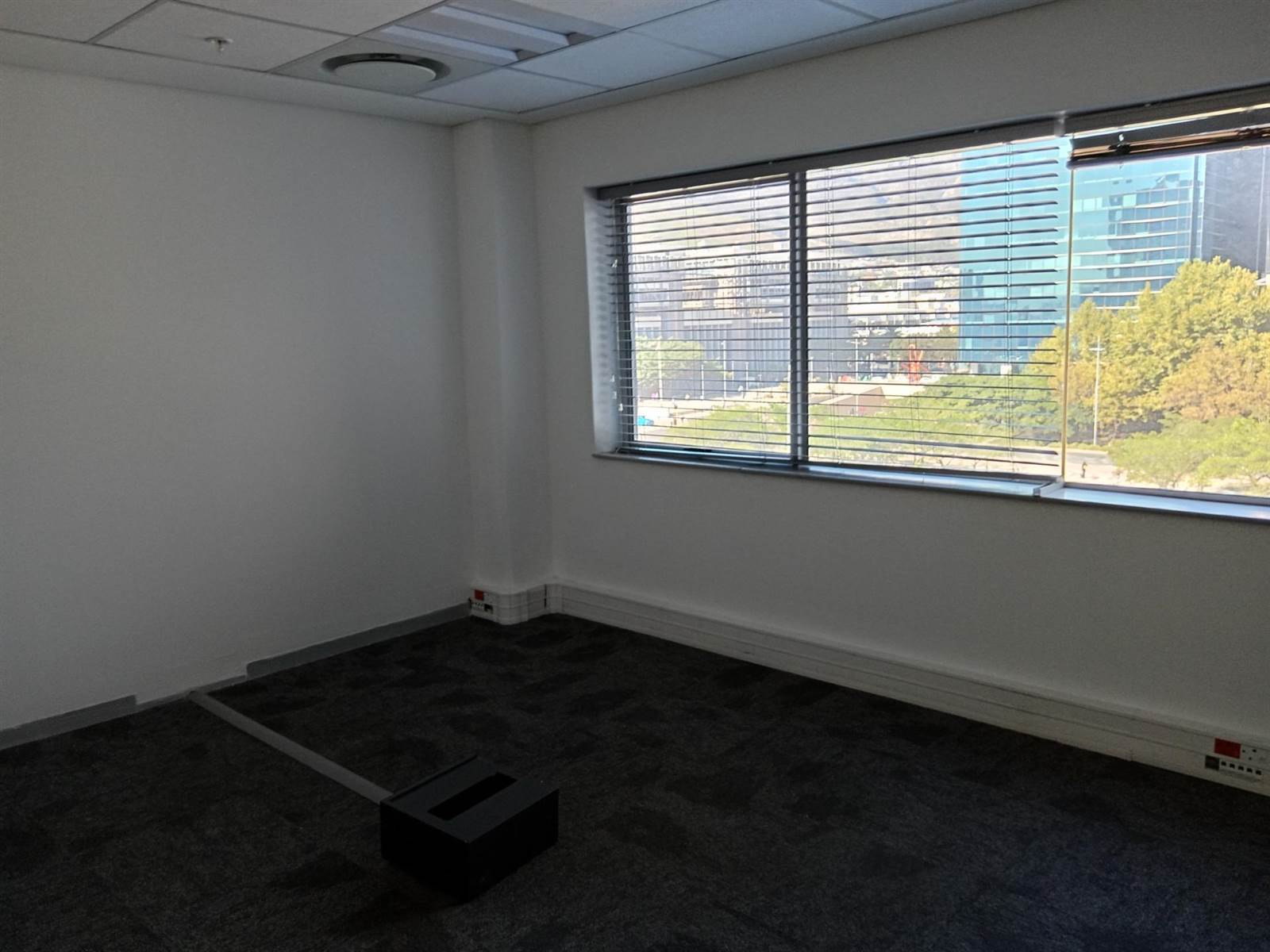 1133  m² Office Space in Foreshore photo number 13