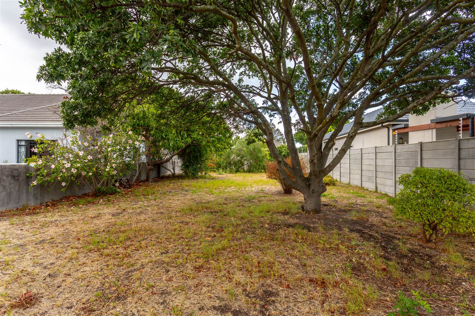 423 m² Land available in Claremont photo number 6