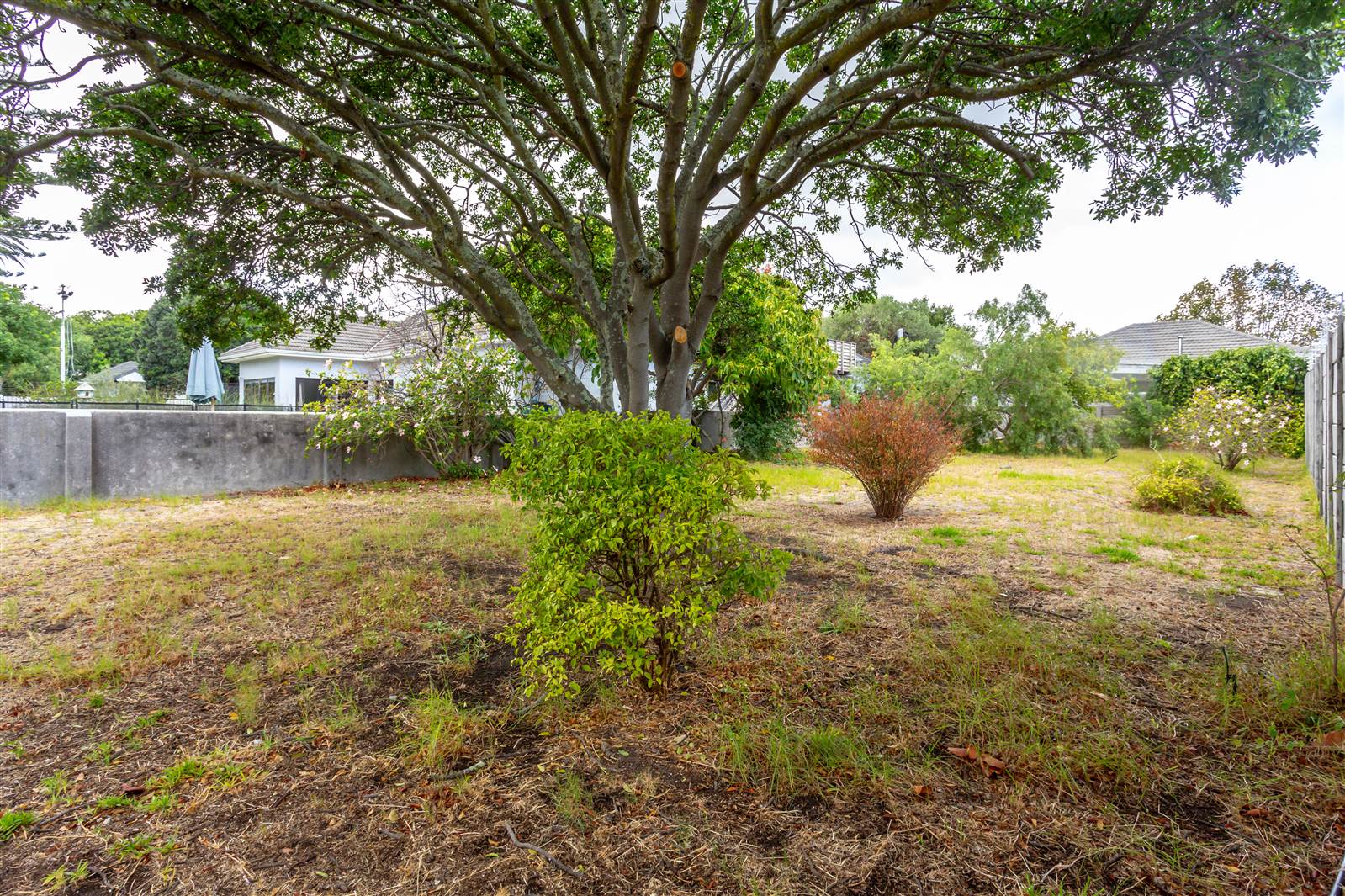 423 m² Land available in Claremont photo number 2