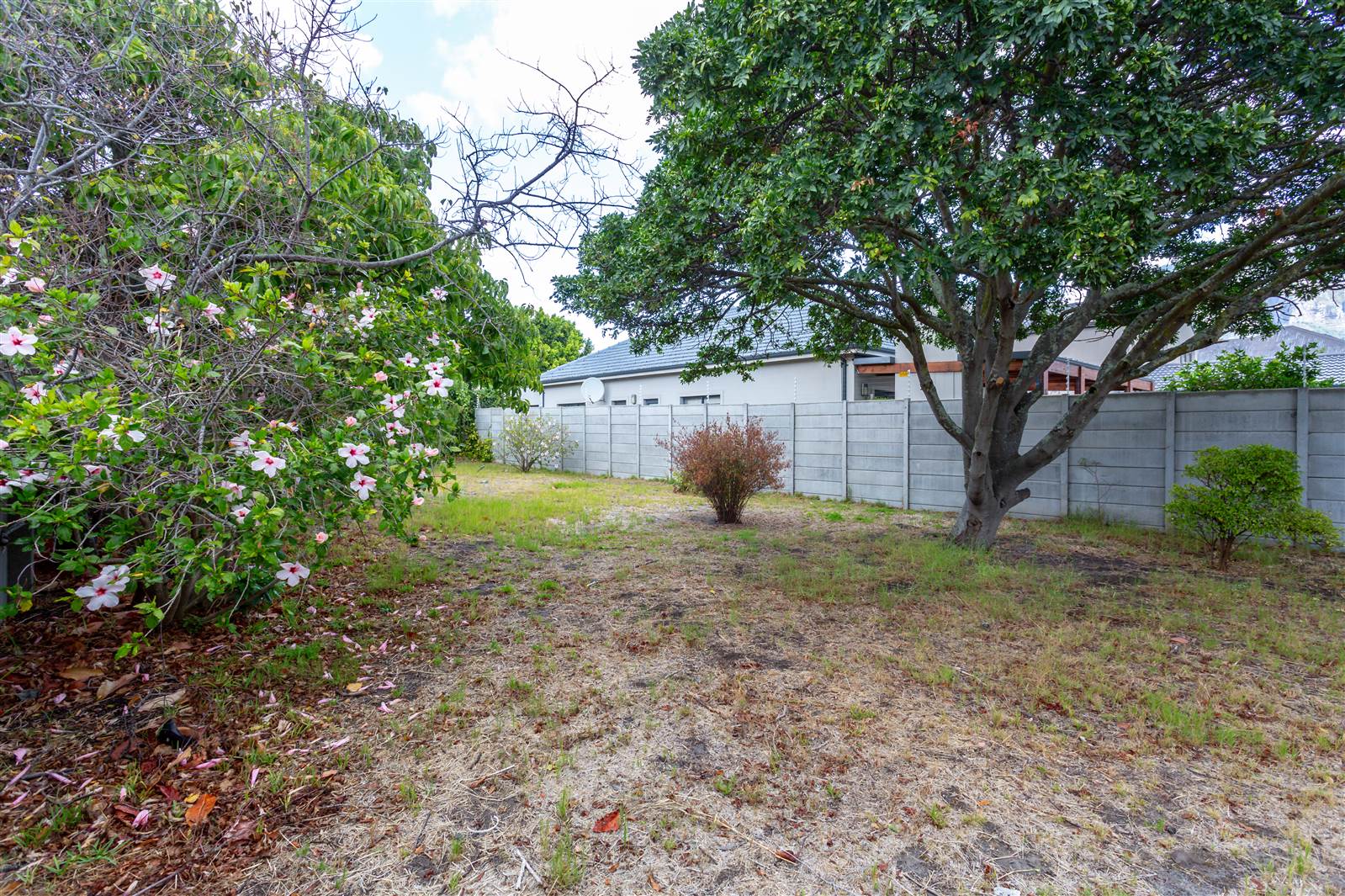 423 m² Land available in Claremont photo number 7