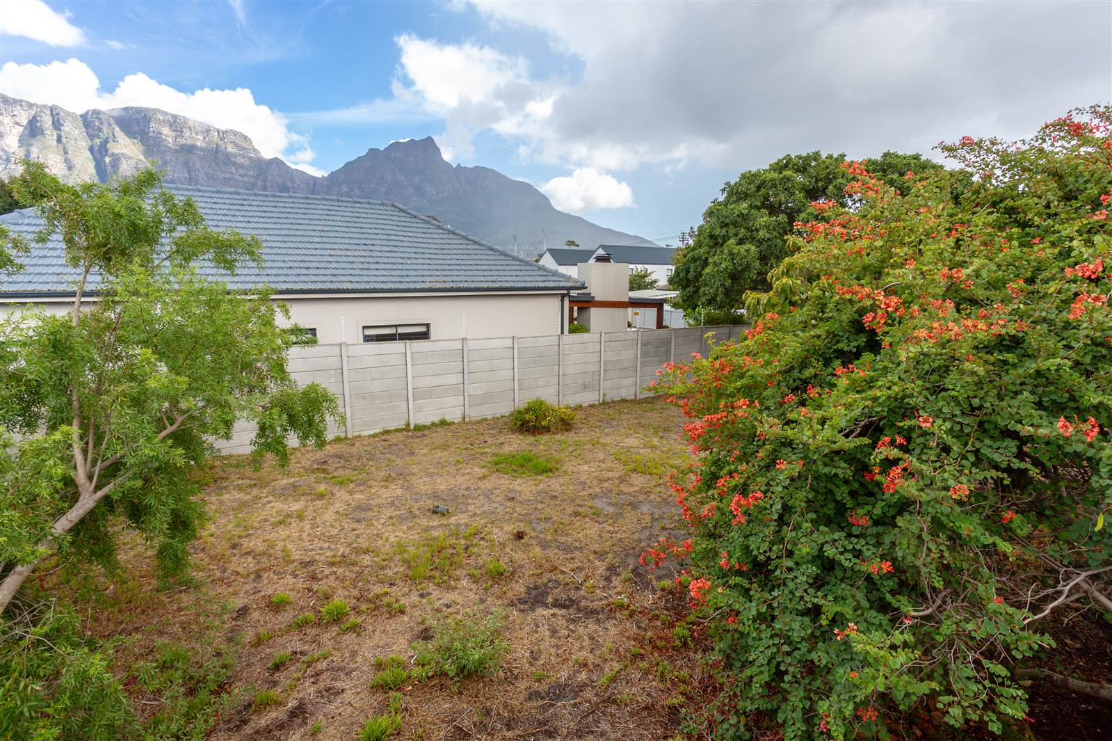 423 m² Land available in Claremont photo number 14