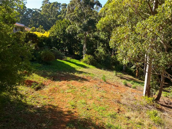 1 145 m² Land 1 145 m² Land