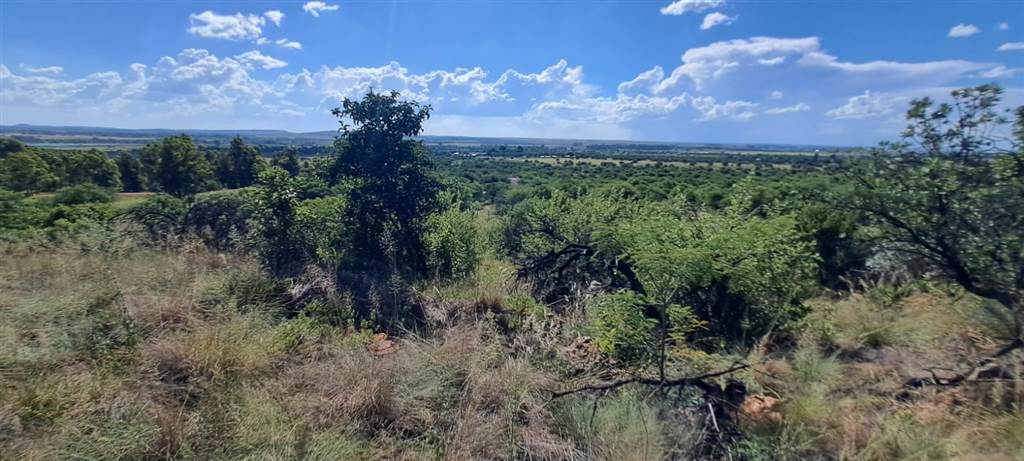 5.8 ha Land available in Vyfhoek photo number 13