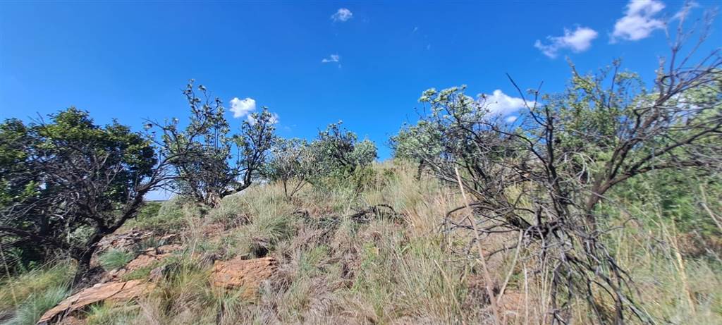 5.8 ha Land available in Vyfhoek photo number 15