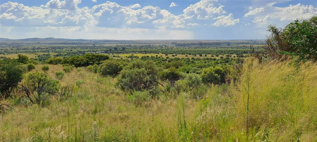 5.8 ha Land available in Vyfhoek photo number 24