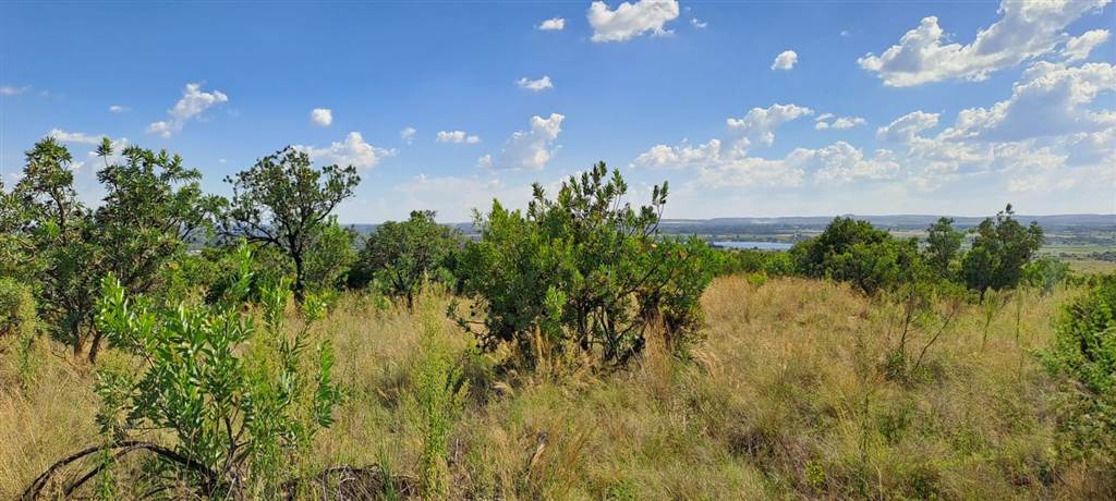 5.8 ha Land available in Vyfhoek photo number 21
