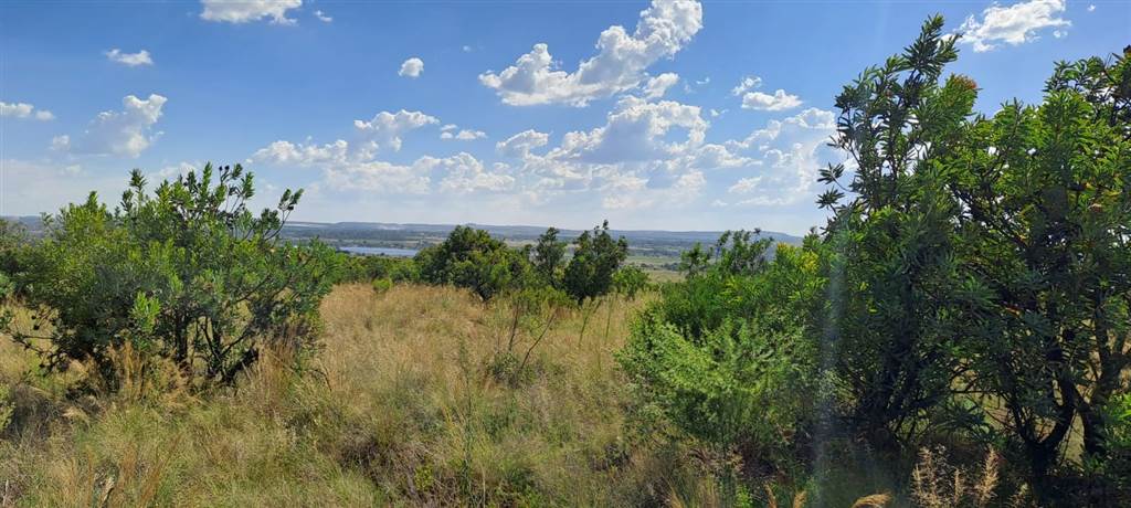 5.8 ha Land available in Vyfhoek photo number 23