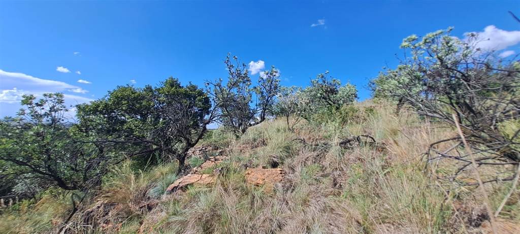 5.8 ha Land available in Vyfhoek photo number 14